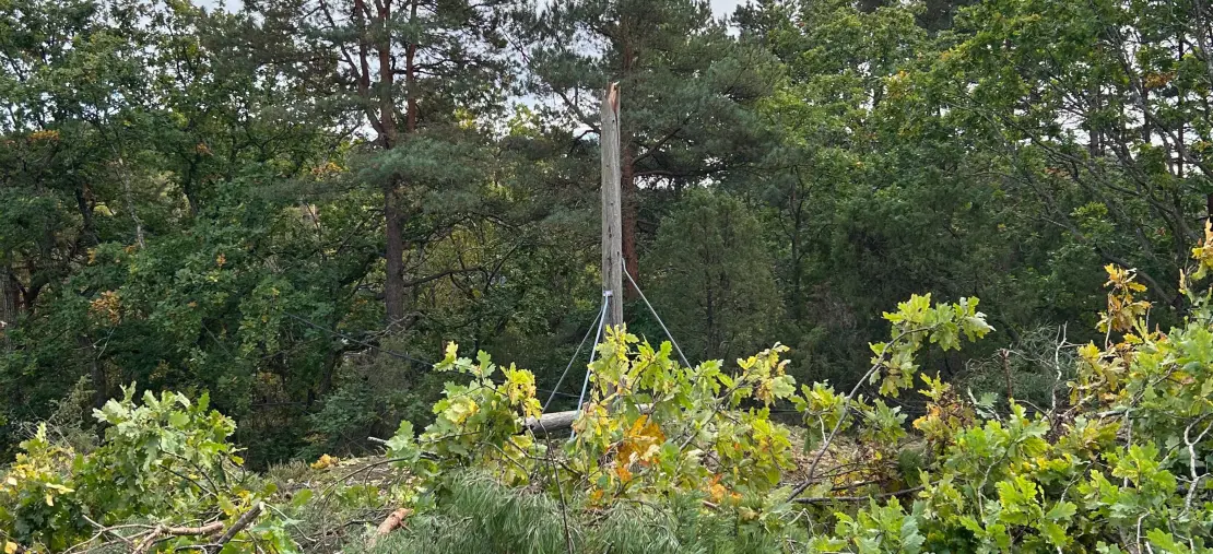 GIKK GALT: Her var en privatperson uheldig og knakk en stolpe etter trefelling. Knekt stolpe etter trefelling