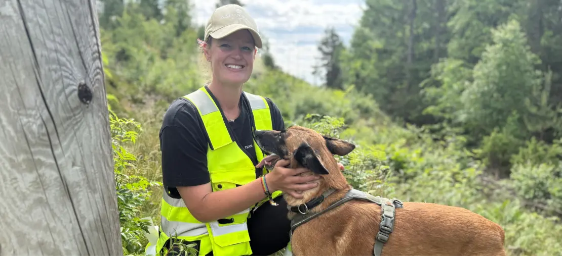 Margit Kjernaas og hunden Nova fra Team Energy har gjennomført kontroller på stolpene i distribusjonsnettet. Råtehund